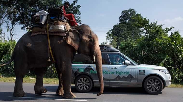 Range Rover next to an elephant