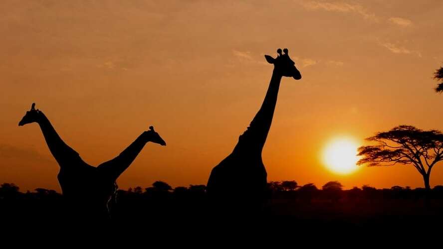 CENTROS LAND ROVER EXPERIENCE